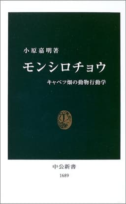 仕事のなかの曖昧な不安